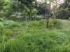 7 শতক জমি